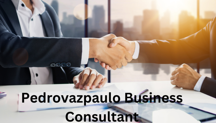 PedroVazPaulo Business Consultant - No.1 for Success