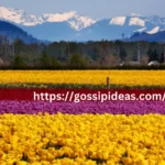 Top 10 Oregon and Washioton State Places To See