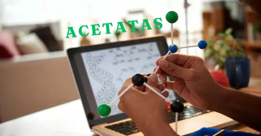 Discover Acetatas: The Future of Innovation