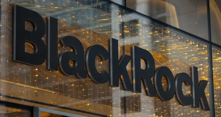 Blackrock Arbitration 1-806-301-1929: Your Guide